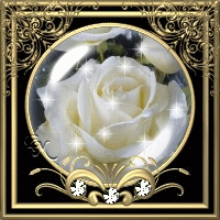 Globe rose blanche